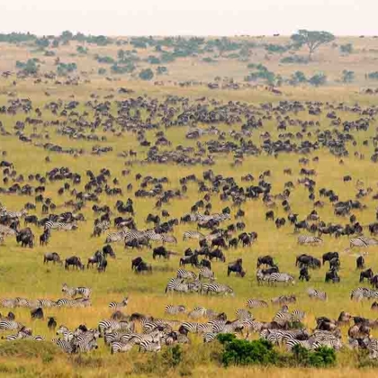 Kenyas Wild Side Camping USD2240